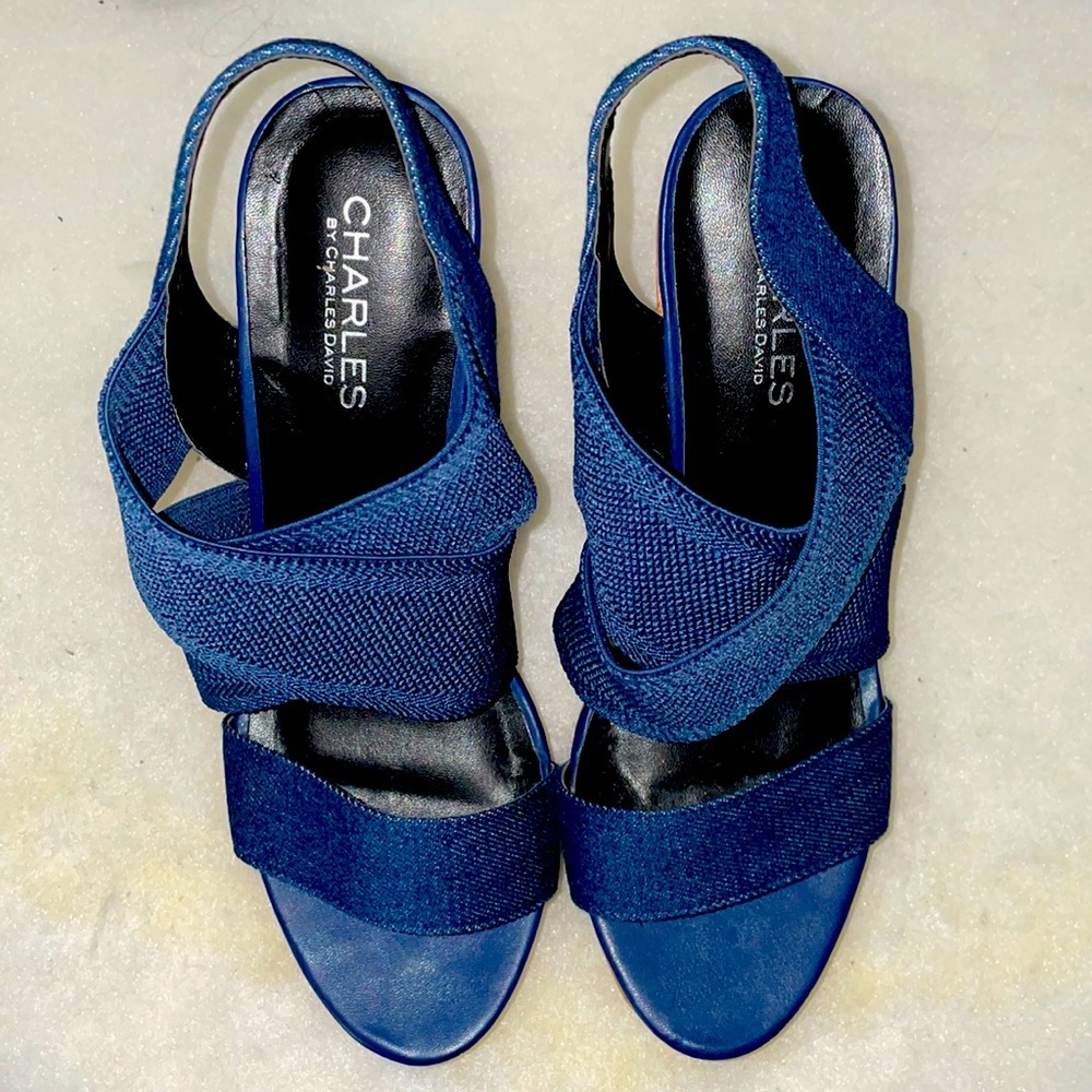 Espadrille wedge sandal denim